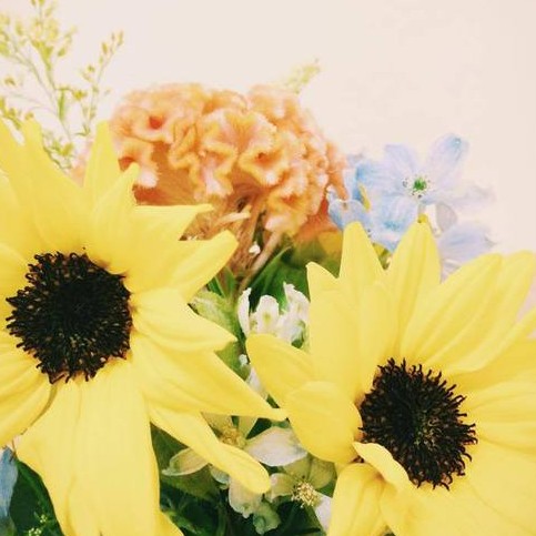 tumblr_inline_nb0qe5ISXS1s7l1qm