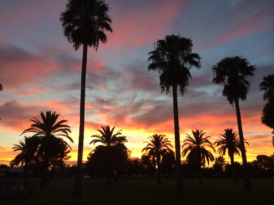 11813503_896643970371549_3158756681950590933_n