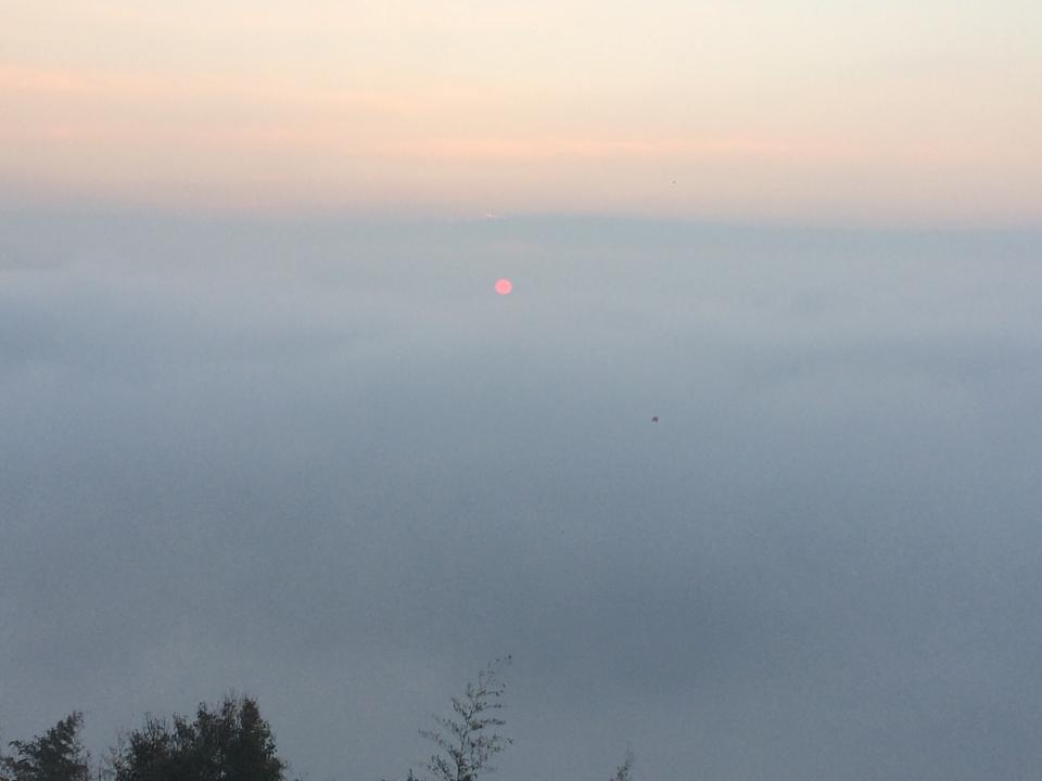 1724251_966806996688579_5465881597295276689_n