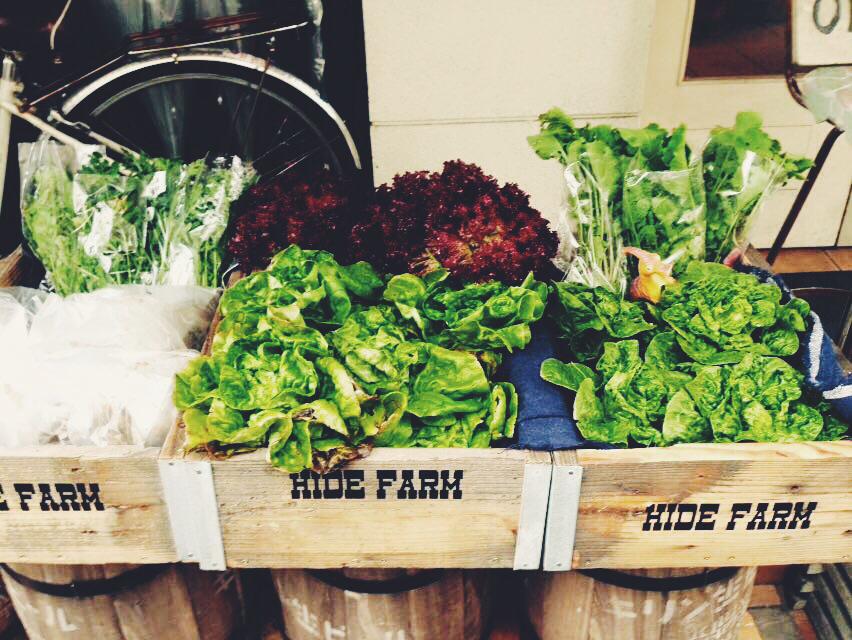 13226627_1045732072129404_9174937834928337456_n