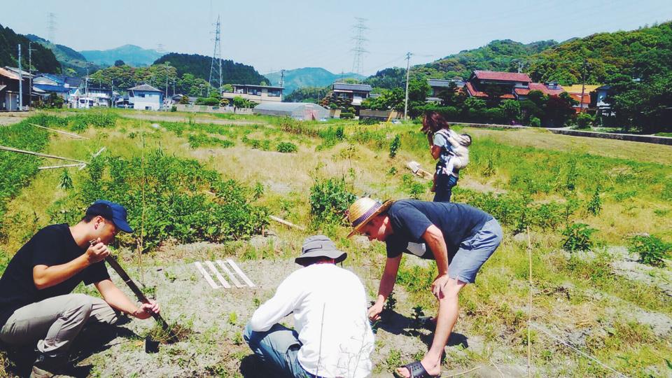 13237631_1045732025462742_7097816764326346266_n