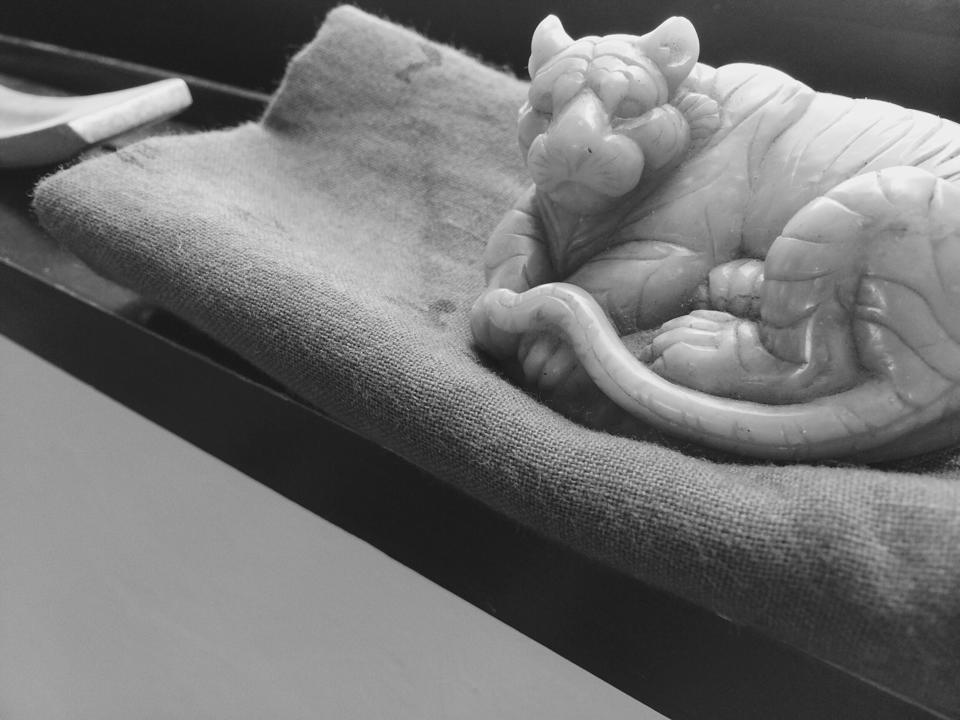 13533075_1073263656042912_5438918590698899804_n