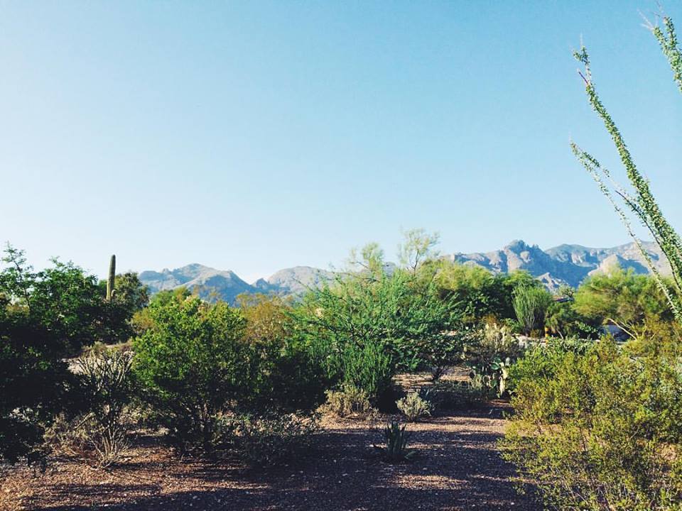 13906901_1089289861106958_5412688193311390687_n