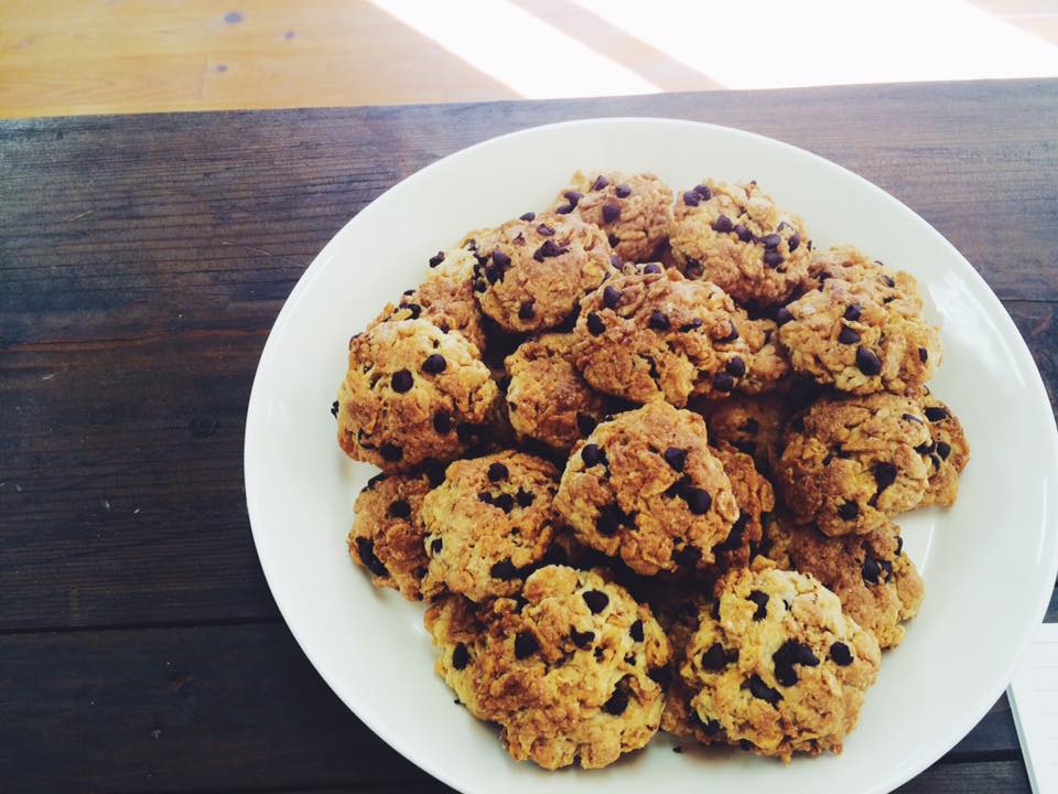 15665530_1226536127382330_6300109335912696819_n