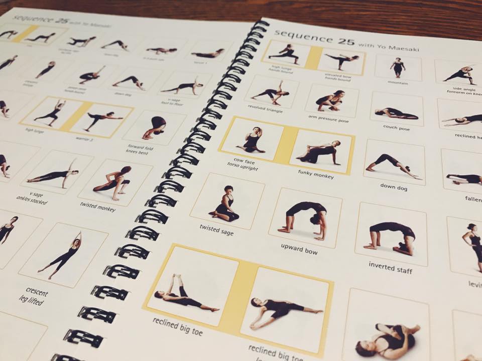 21078448_10210157258944369_6437084425923128457_n