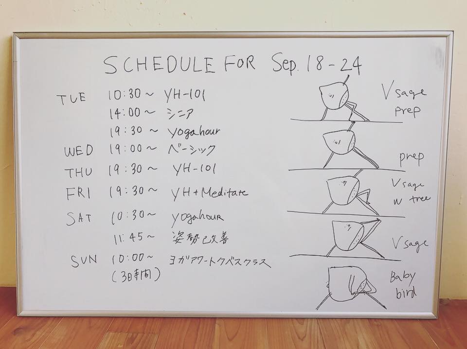 21557845_10210326228208495_6034512745083923700_n