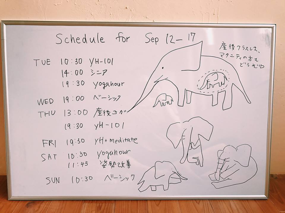 21731069_10210287938531277_3670617395363183702_n