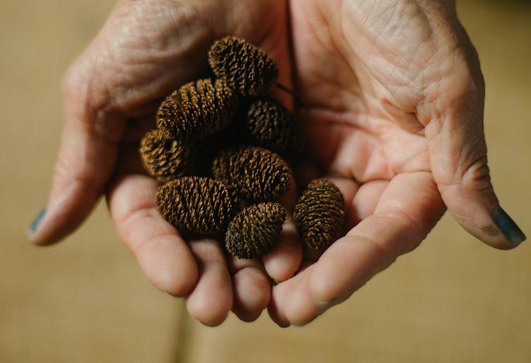 22090079_10154945655562078_5345351890272266553_n