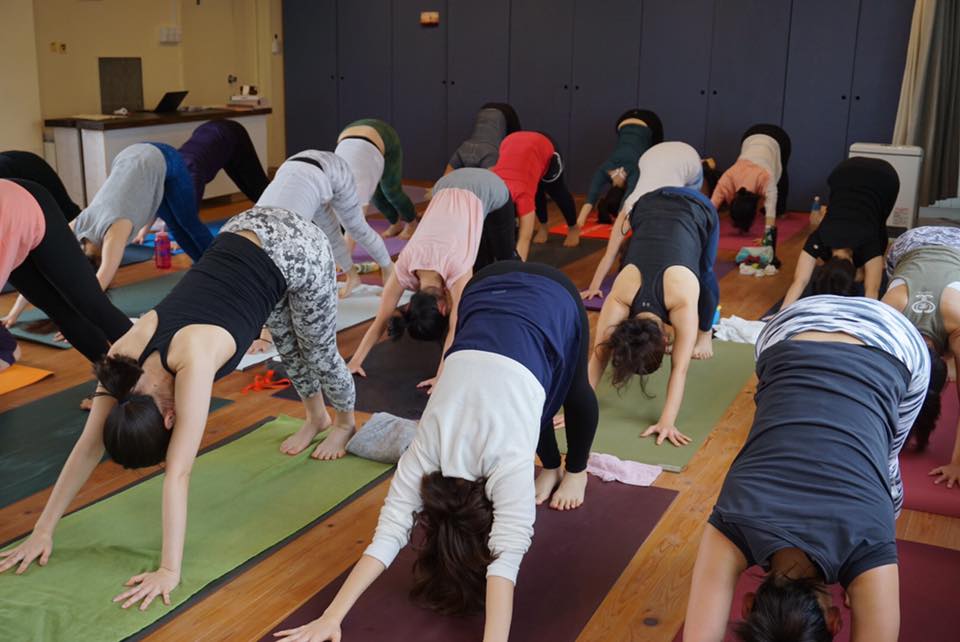 26056134_10211020522725424_7427548018647815647_n