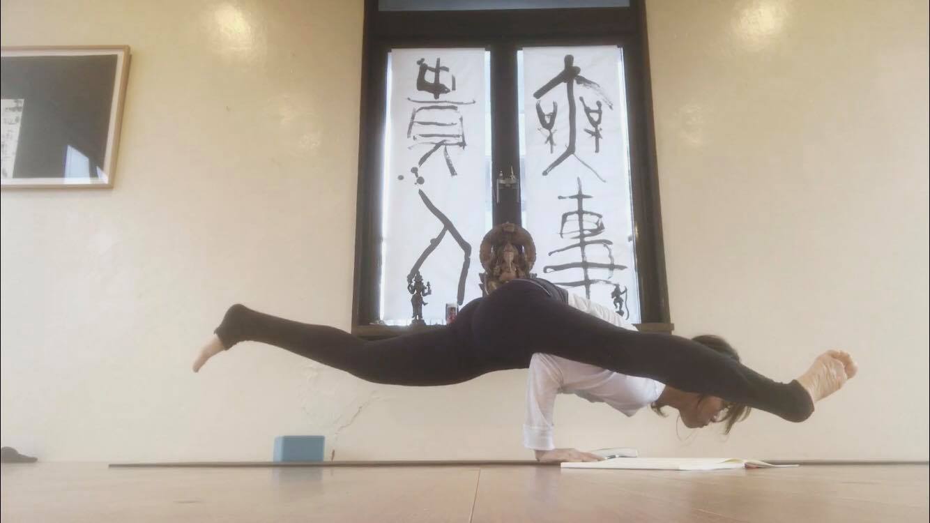 32202692_10211915958550760_293842055866613760_n