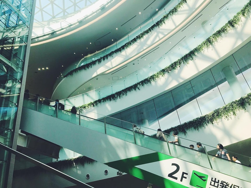 60352369_10214156243516484_1081940615920353280_n