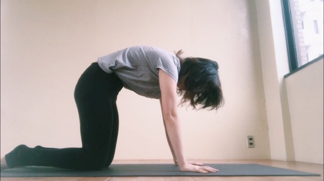 61305697_546007382593710_1690718810987823104_n