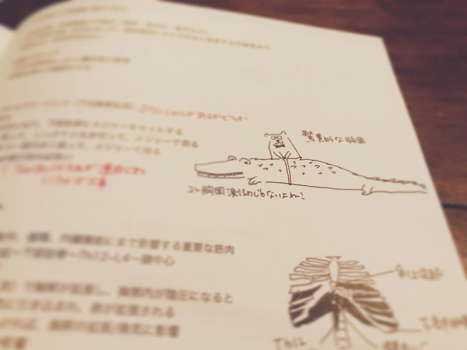 66306445_10214519702202724_6810119974401605632_n